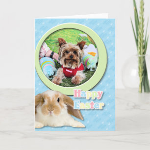 Cartes Pour Fêtes Annuelles Pâques - Yorkshire Terrier - Sassy