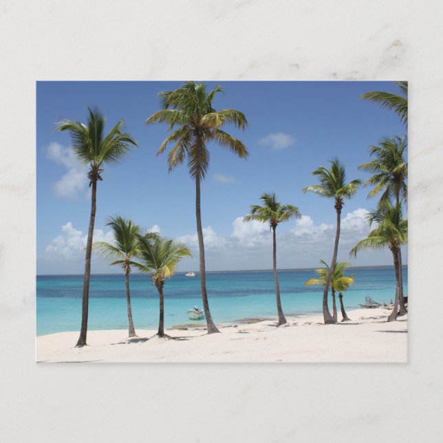 Cartes Pour Fêtes Annuelles Paradis d'été (Devant)