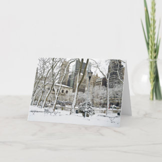 Cartes Pour Fêtes Annuelles Parc Bryant d'hiver