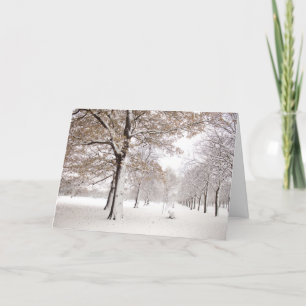 Cartes Pour Fêtes Annuelles Parc de Greenwich en hiver