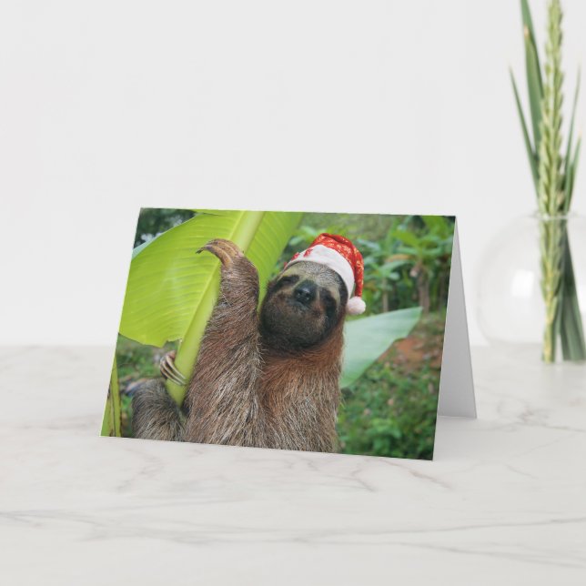 Cartes Pour Fêtes Annuelles Paresse de Joyeux Noël (Devant)