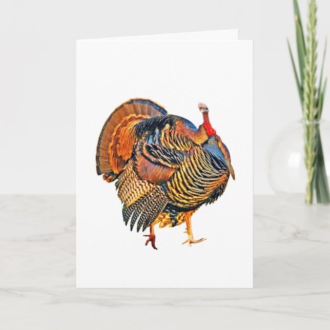 Cartes Pour Fêtes Annuelles Parler de Turquie (Devant)