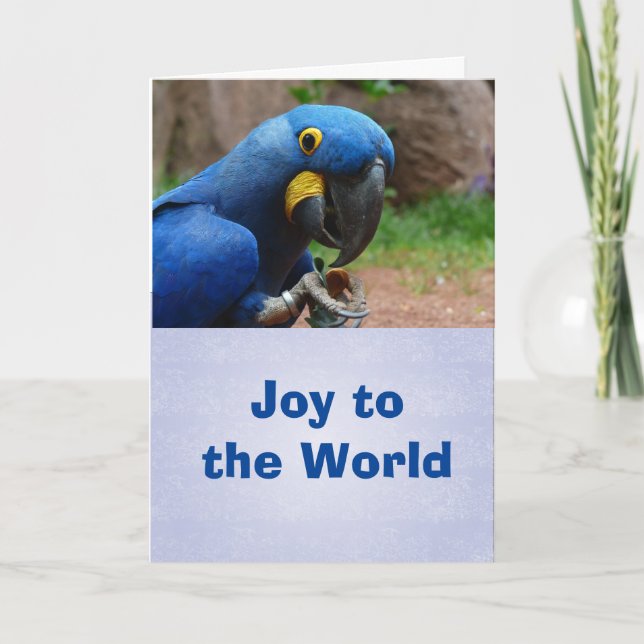 Cartes Pour Fêtes Annuelles Parrot Happy Holiday Card, enveloppes incluses (Devant)