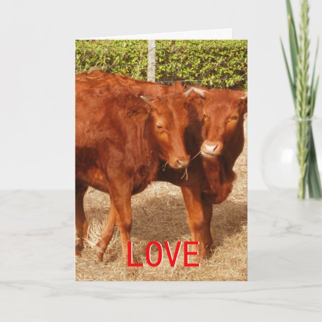Cartes Pour Fêtes Annuelles Partage d'amour (Devant)