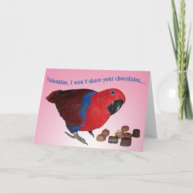 Cartes Pour Fêtes Annuelles Pas de chocolat (Devant)