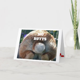 CARTES POUR FÊTES ANNUELLES PAS DE "MAIS À CE SUJET" VOUS ÊTES ***AMOUREUX***