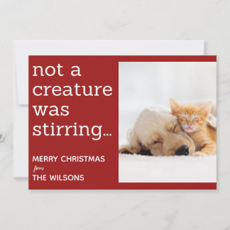 Cartes Pour Fêtes Annuelles pas une créature ne remuait les photos rouges noël