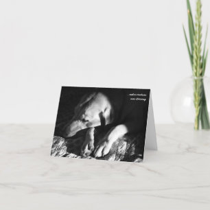 Cartes Pour Fêtes Annuelles … pas une créature remuait