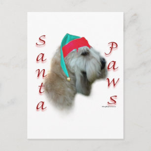 Cartes Pour Fêtes Annuelles Pâtes Père Noël Terrier à revêtement souple