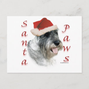 Cartes Pour Fêtes Annuelles Pattes de Père Noël de Schnauzer standard