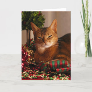 Cartes Pour Fêtes Annuelles Pattes pour les vacances