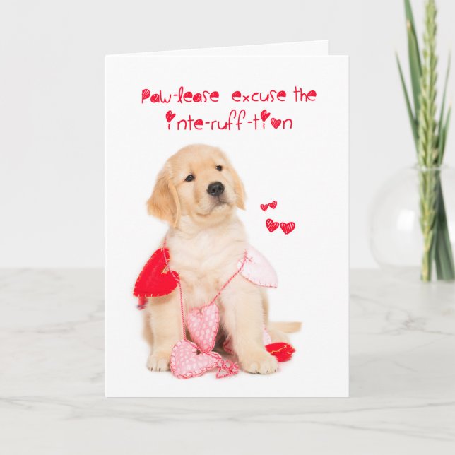 Cartes Pour Fêtes Annuelles Paw-lease (Devant)