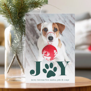 Cartes Pour Fêtes Annuelles Paws   Pet Photo Holiday Card