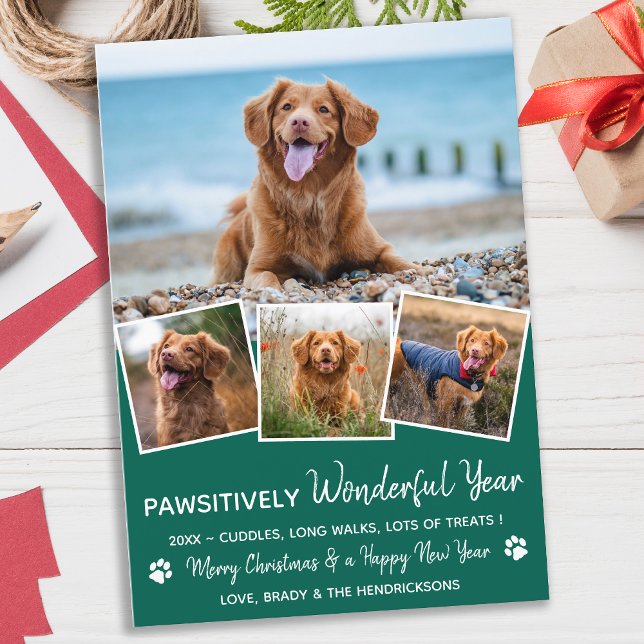 Cartes Pour Fêtes Annuelles Pawsively Pet Année d'examen Chien chiot photo (Créateur téléchargé)