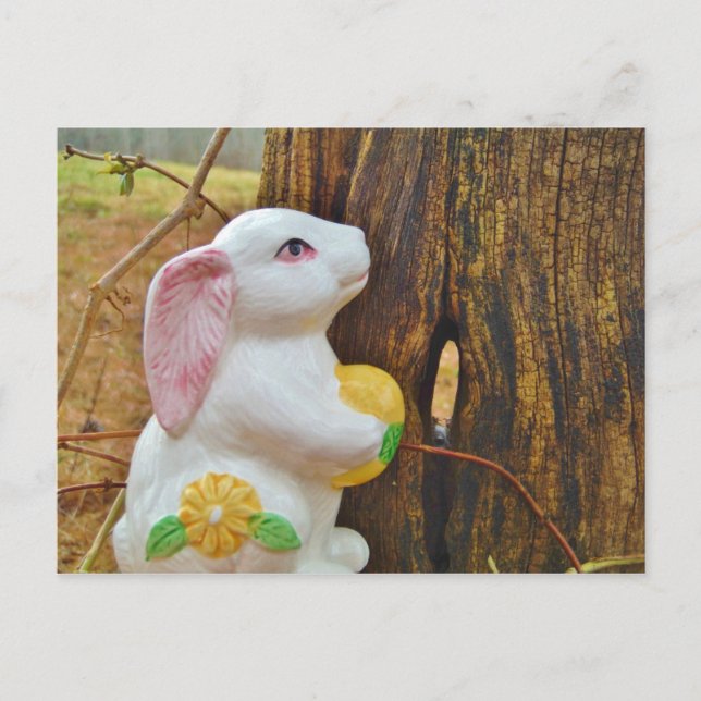 Cartes Pour Fêtes Annuelles Pays Lapin de Pâques (Devant)