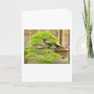 Cartes Pour Fêtes Annuelles Paysage en pointes de Bonsai/Chinois