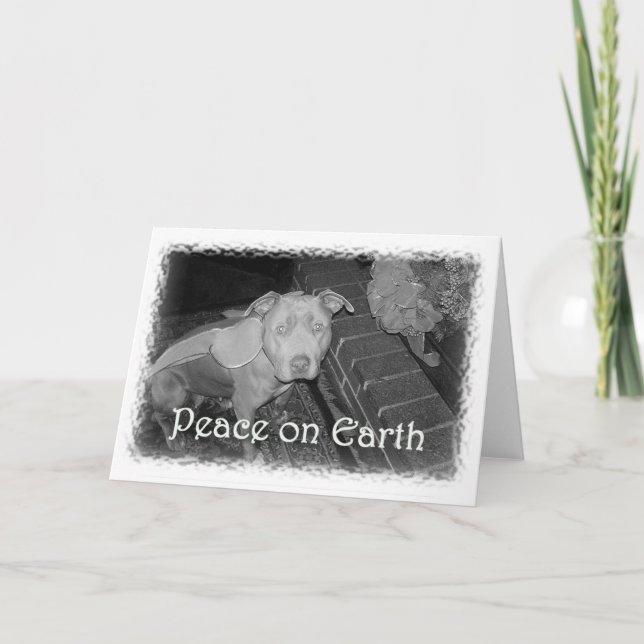 Cartes Pour Fêtes Annuelles Peace on Earth Pit Bull Christmas Card (Devant)