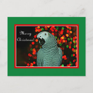 Cartes Pour Fêtes Annuelles Peinture de perroquet gris avec arbre de Noël