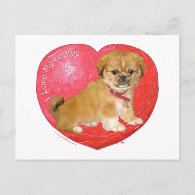 Cartes Pour Fêtes Annuelles Pekingese / Shih Tzu Mix Valentine's Day (Devant)