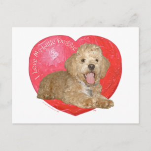 Cartes Pour Fêtes Annuelles Pékinois / Croisement Caniche Saint-Valentin