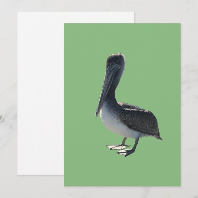 Cartes Pour Fêtes Annuelles Pélican (Devant / Derrière)