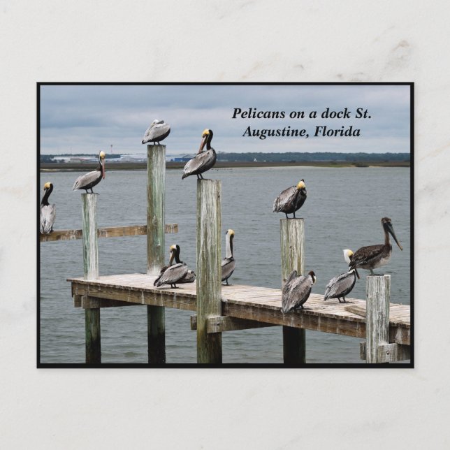 Cartes Pour Fêtes Annuelles Pélican posé sur une jetée (Devant)