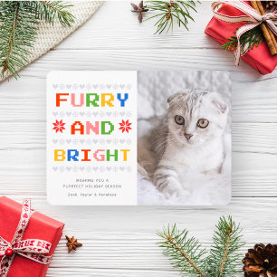 Cartes Pour Fêtes Annuelles Pelucheux et Lumineux   Photo de chat de Noël