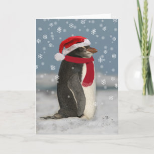 Cartes Pour Fêtes Annuelles Penguin de Noël