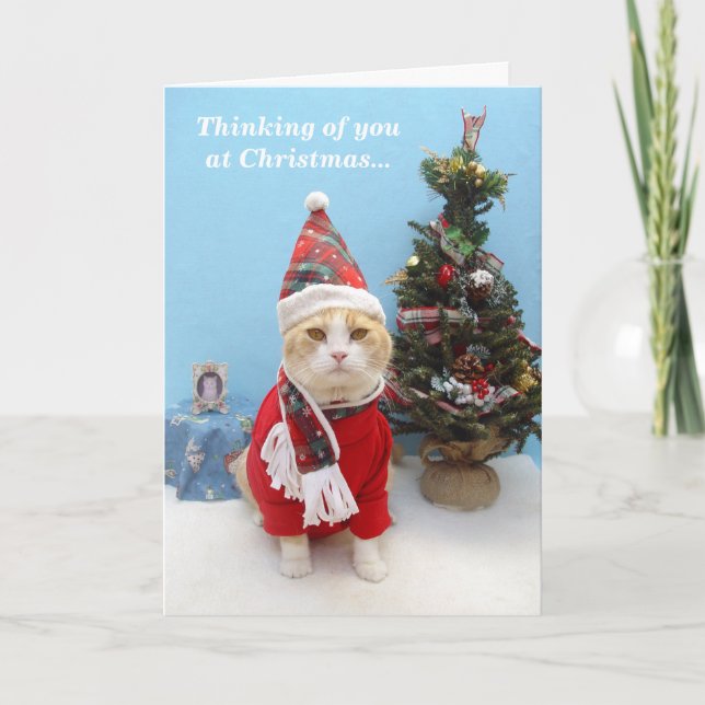 Cartes Pour Fêtes Annuelles Pensées de vous à Noël (Devant)
