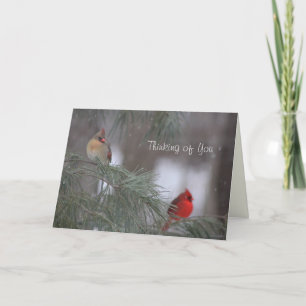 Cartes Pour Fêtes Annuelles Penser à vous - Encouragement, Sympathie, Prières