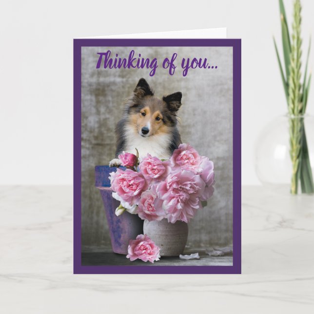 Cartes Pour Fêtes Annuelles Penser à vous Sheltie Dog Card Personnaliser (Devant)