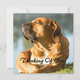 Cartes Pour Fêtes Annuelles Pensez à vous