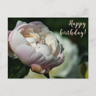 Cartes Pour Fêtes Annuelles Peony/Flower Magic/Fleur blanche/Joyeux anniversai