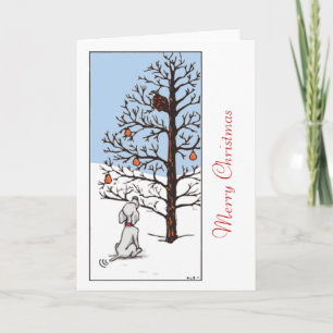 Cartes Pour Fêtes Annuelles Perdrix dans un poirier