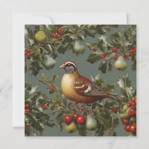 Cartes Pour Fêtes Annuelles Perdrix dans un poirier