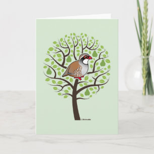 Cartes Pour Fêtes Annuelles Perdrix dans un poirier