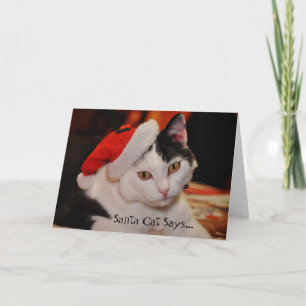 Cartes Pour Fêtes Annuelles père Noël Amoureux des chats Fun Christmas Card