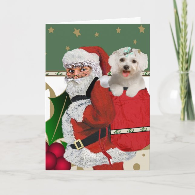 Cartes Pour Fêtes Annuelles Père Noël avec le maltais dans son sac (Devant)