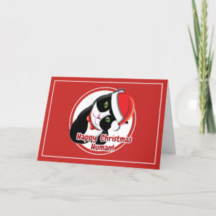 Cartes Pour Fêtes Annuelles Père Noël Cat