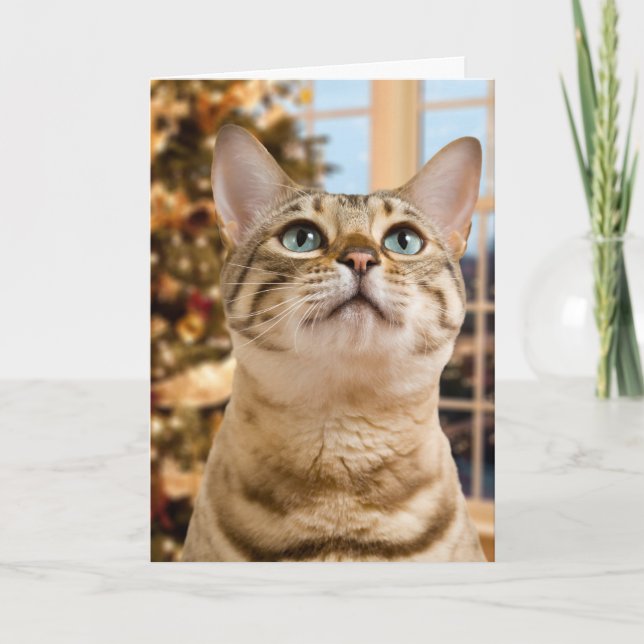 Cartes Pour Fêtes Annuelles Père Noël de attente (Devant)