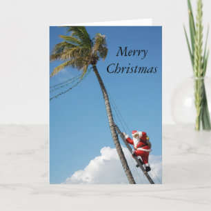 Cartes Pour Fêtes Annuelles Père Noël grimpe aux palmiers en floride