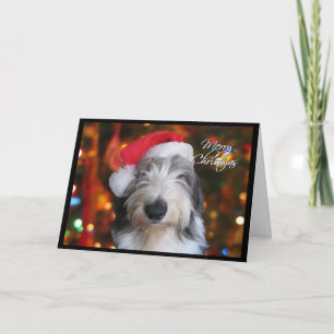 Cartes Pour Fêtes Annuelles père Noël Old English Shedog Christmas Card