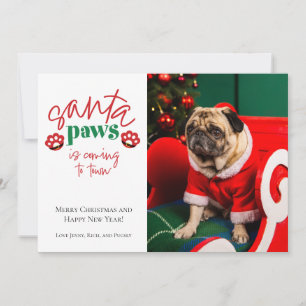 Cartes Pour Fêtes Annuelles Père Noël Paws arrive à Town Pet Holiday Card