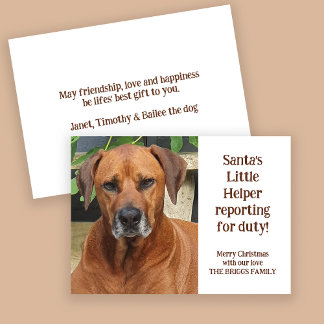 Cartes Pour Fêtes Annuelles Père Noël Petit Aide Personnalisé Photo Animaux de