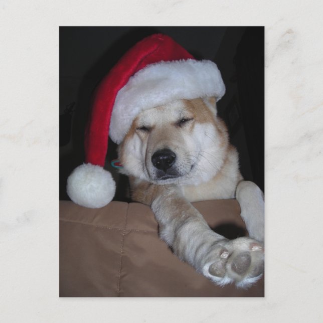 Cartes Pour Fêtes Annuelles Père Noël Petit Helper Shiba-Inu (Devant)