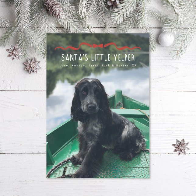 Cartes Pour Fêtes Annuelles Père Noël Petit Yelper mignon chien photo de Noël (Créateur téléchargé)
