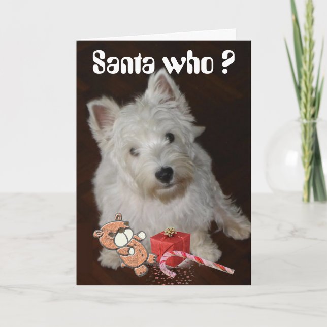 Cartes Pour Fêtes Annuelles Père Noël Qui ? (Devant)