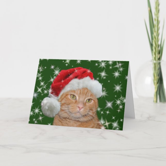 Cartes Pour Fêtes Annuelles Père Noël tigré orange (Devant)