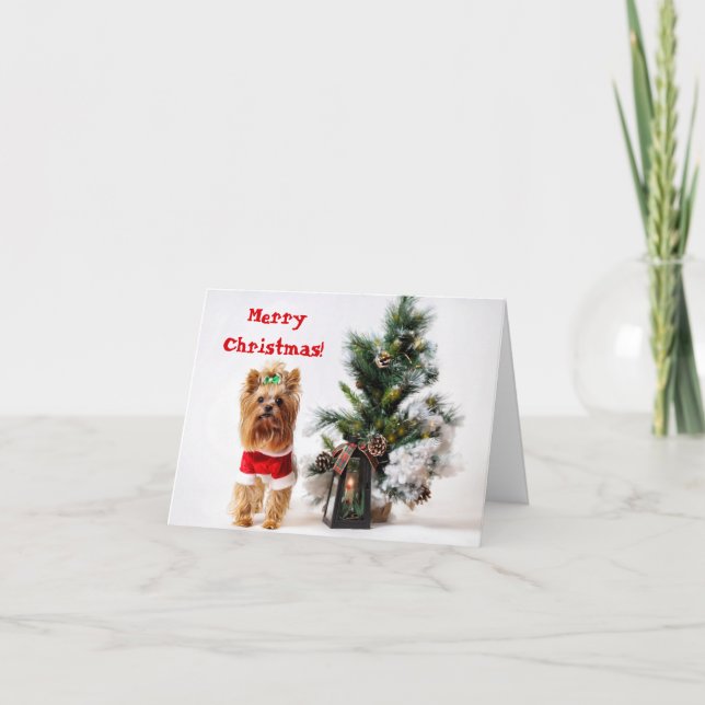 Cartes Pour Fêtes Annuelles Père Noël Yorkie avec l'arbre de Noël (Devant)