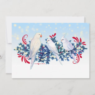 Cartes Pour Fêtes Annuelles Perruches de Noël blanches